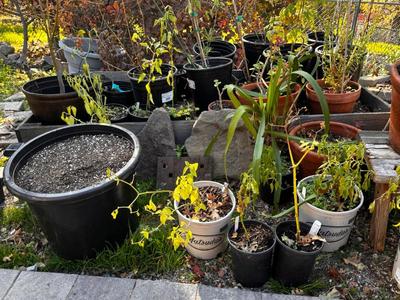 Sale Photo Thumbnail #531