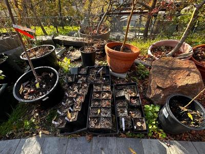 Sale Photo Thumbnail #544