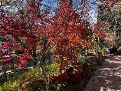 Sale Photo Thumbnail #540