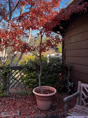 Sale Photo Thumbnail #551