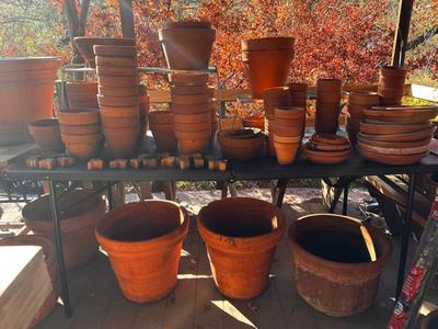 Sale Photo Thumbnail #507