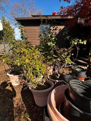 Sale Photo Thumbnail #541