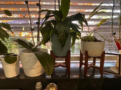 Sale Photo Thumbnail #474