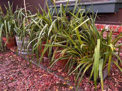 Sale Photo Thumbnail #553