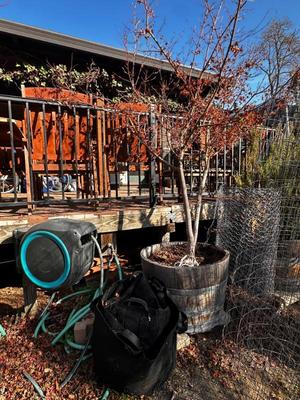 Sale Photo Thumbnail #537