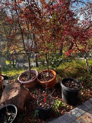 Sale Photo Thumbnail #535