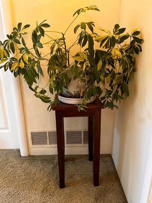 Sale Photo Thumbnail #172