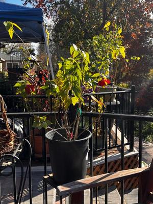 Sale Photo Thumbnail #506