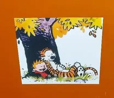 "THE COMPLETE CALVIN AND HOBBES" BY BILL WATTERSON