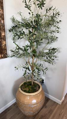Potted Artificial Olive Tree