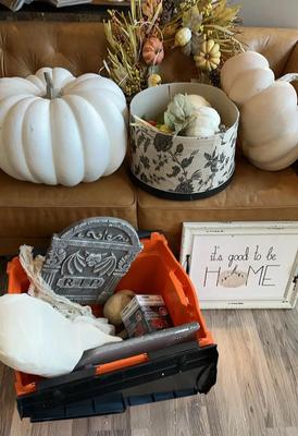 Fall Harvest & Halloween Decor