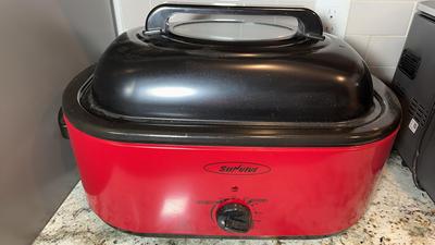 Elecpro Sunvivi Electric Roaster