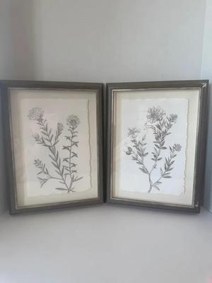 Set of August Grove “Botanical Study in Sage II” Framed Art Prints