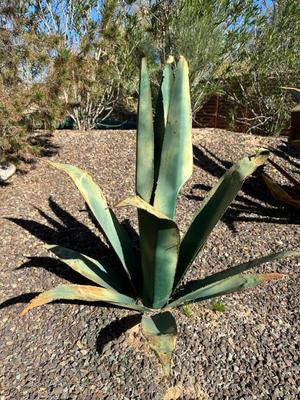 Sale Photo Thumbnail #98