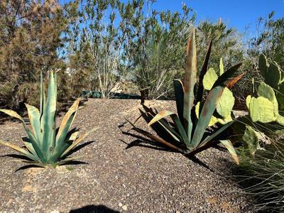 Sale Photo Thumbnail #96