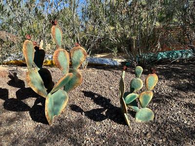 Sale Photo Thumbnail #100