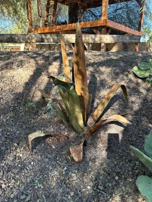 Sale Photo Thumbnail #104