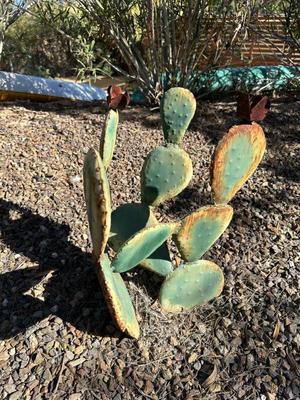 Sale Photo Thumbnail #102