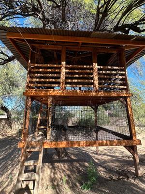 Sale Photo Thumbnail #109