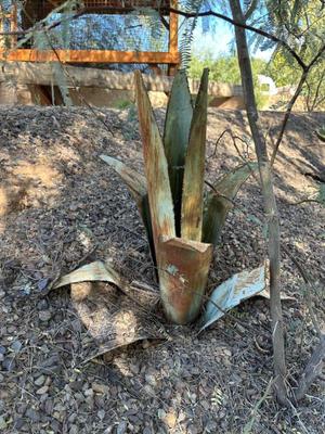 Sale Photo Thumbnail #105