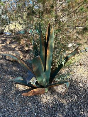 Sale Photo Thumbnail #99