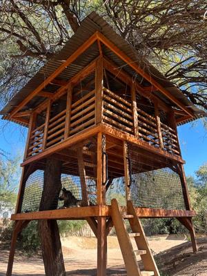 Sale Photo Thumbnail #107