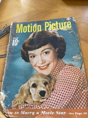 Sale Photo Thumbnail #355