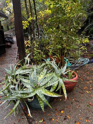 Sale Photo Thumbnail #511