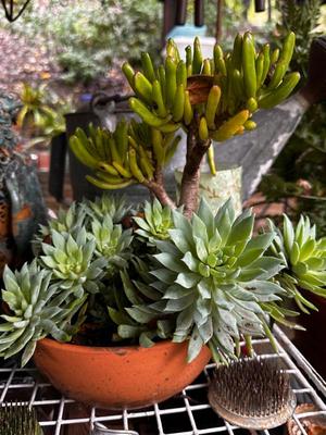 Sale Photo Thumbnail #502