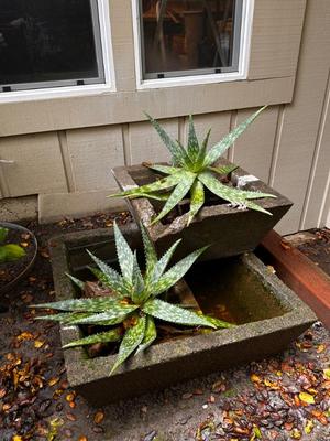 Sale Photo Thumbnail #514