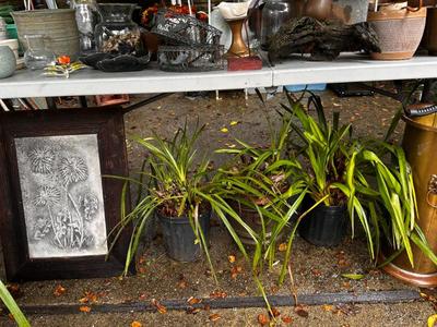 Sale Photo Thumbnail #517