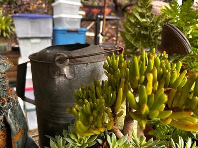 Sale Photo Thumbnail #501