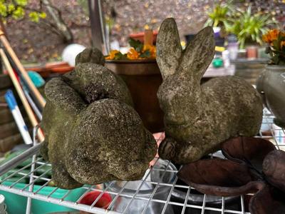 Sale Photo Thumbnail #503