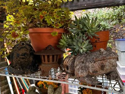 Sale Photo Thumbnail #504