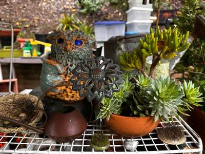 Sale Photo Thumbnail #498