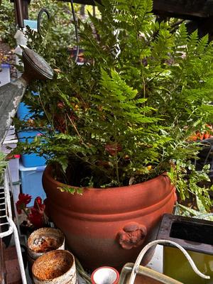 Sale Photo Thumbnail #495