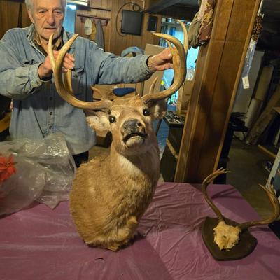 Sale Photo Thumbnail #3