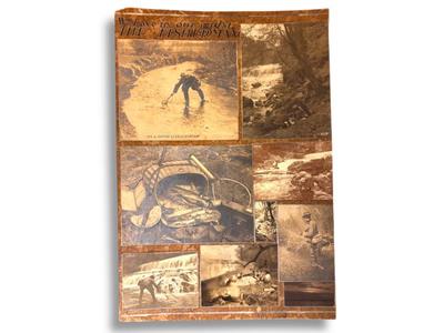 Sale Photo Thumbnail #44