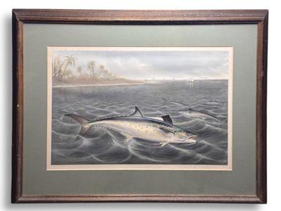 Sale Photo Thumbnail #73