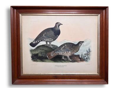 Sale Photo Thumbnail #77