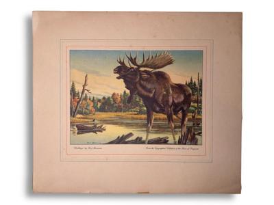 Sale Photo Thumbnail #79