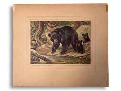 Sale Photo Thumbnail #78