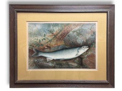 Sale Photo Thumbnail #66