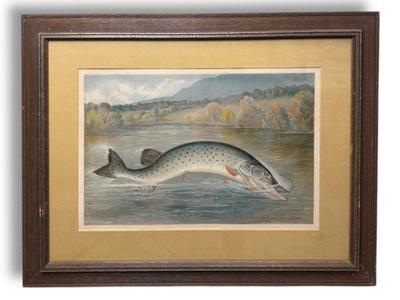 Sale Photo Thumbnail #68