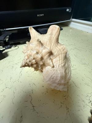 Sale Photo Thumbnail #9