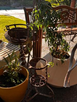 Sale Photo Thumbnail #515