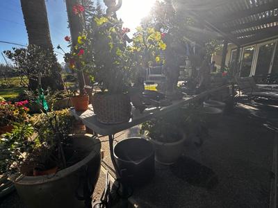 Sale Photo Thumbnail #537