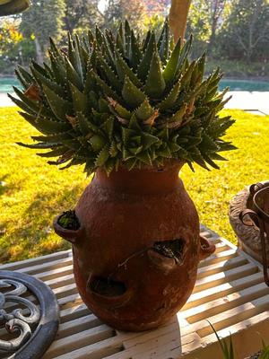 Sale Photo Thumbnail #520