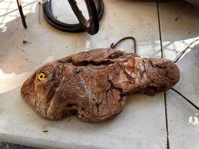 Sale Photo Thumbnail #530