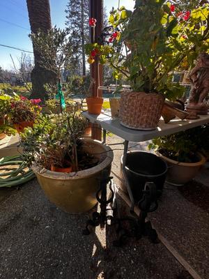 Sale Photo Thumbnail #538